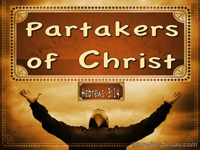 Hebrews 3:14 Partakers Of Christ (brown)